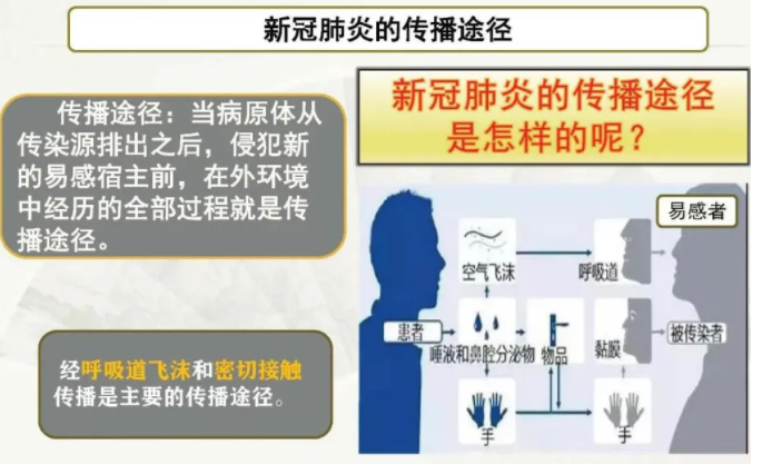 图片 8.png