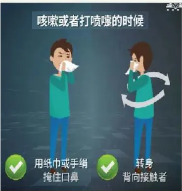 图片 11.png