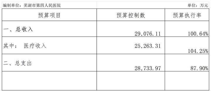 2023年预算执行情况表_收入费用表_副本.jpg